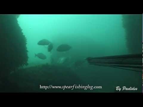 Gilthead Seabream on the double | Τσιπουρα | Spearfishing