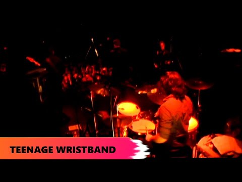 ONE ON ONE: The Twilight Singers - Teenage Wristband May 13th, 2011 Webster Hall New York City