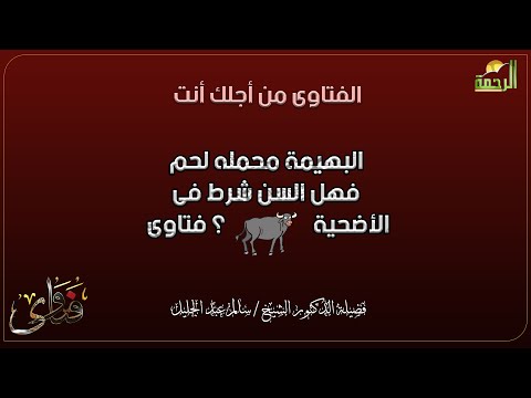 البهيمة محمله لحم فهل السن شرط فى التضحية بها ؟ فتاوى