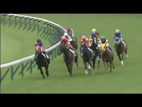 2019.06.23 2yo Newcomer - Red Bel Jour