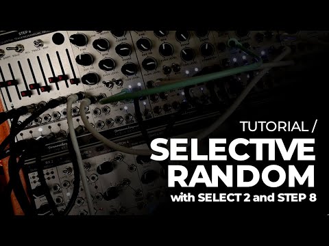 TUTORIAL / STEP 8 and SELECT 2 for a sequence with 1 random step