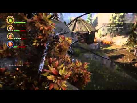 Dragon age Inquisition Elfo Arqueiro