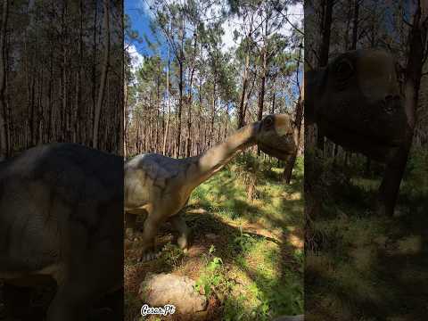 Europasaurus @dinoparquelourinha9481 #europasaurus #dinosaur #dinopark