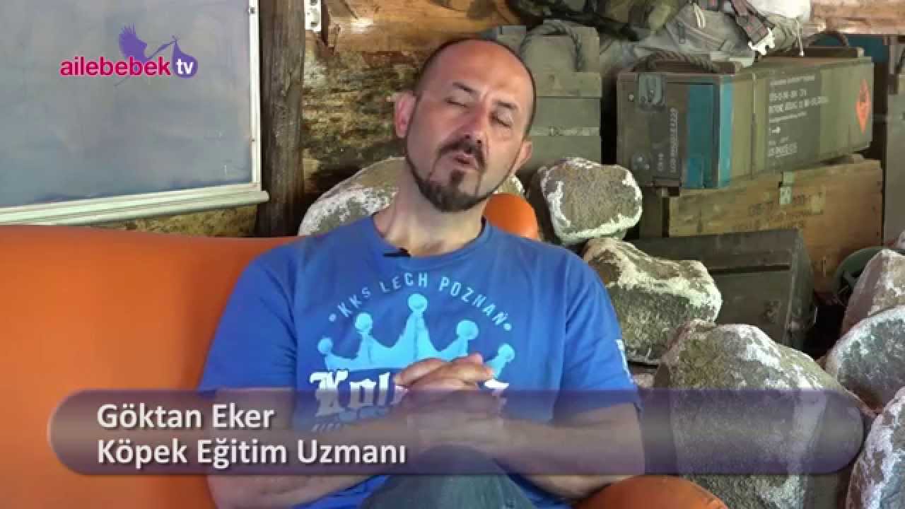 Havlayan köpek ısırır mı?