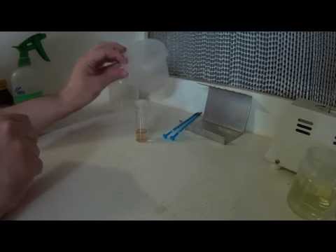 orchid seed tissue culture