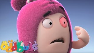 Download lagu Oddbods | Newt's Red Eye mp3 Download lagu Oddbods | Newt's Red Eye mp3