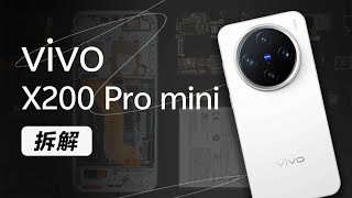[討論] 樓斌 拆解 Vivo X200 Pro mini