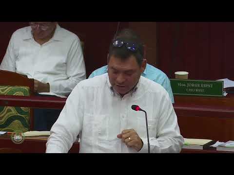 Julius Espat Highlights Nationwide Works in Extended Budget Debate Address