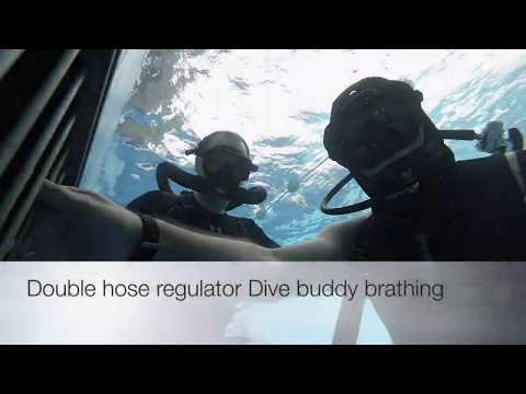 Dive buddy breathing with double hose regulator