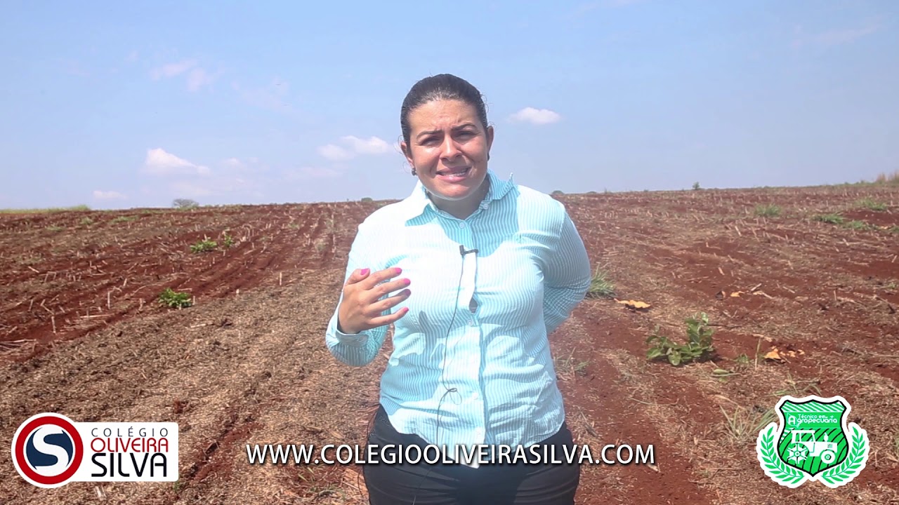 Técnico em Agropecuário