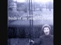 The Innocence Mission - Going Away 