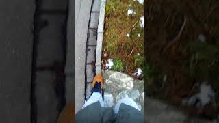 Mein erster VLOG (Fortsetzung folgt!)(1)