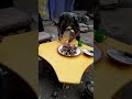 Kula Tako Ng Ombe