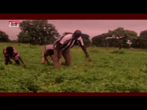 8pm NEWS LIVE ON GRTS 14.05.2022