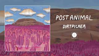 Video thumbnail of "Post Animal - Dirtpicker [OFFICIAL AUDIO]"