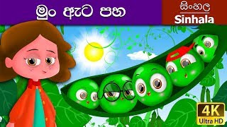 Five Peas in a Pod in Sinhala  Sinhala Cartoon  @S