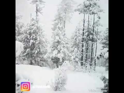 Snow falling Switzerland