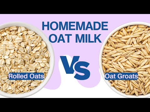 Best Oats to Make Homemade Oat Milk: Rolled Oats vs Oats Groats | MilkED by Milky Plant 🌱