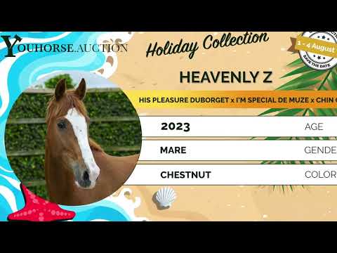 youtube preview
