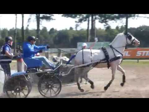 CASSOTTANA Luca, ITA, CH M A1, Kronenberg, Marathon Ob6, 01 09 2018