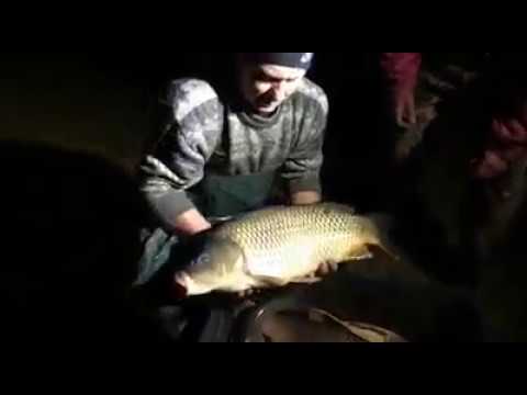 Populare trofee   Pescuit Sportiv Tungujei Noiembrie 2017