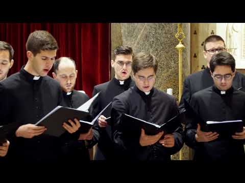 Komorni zbor bogoslova CBS - Poslan bi anđel Gabrijel (Koncert "Ususret Božiću" 2019. LIVE)