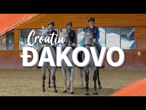 Djakovo, Continental Croatia | Centre of the Fertile and Rich Djakovo Region