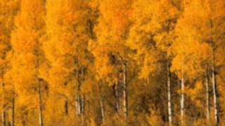 Nat King Cole The More I See You