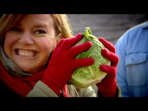 Gasztroangyal 12. rész - A káposzta (2011)