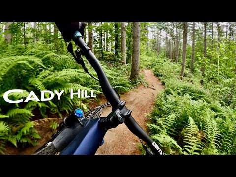 Vermont's Best Flow! | Mountain Biking Cady Hill in Stowe Vermont