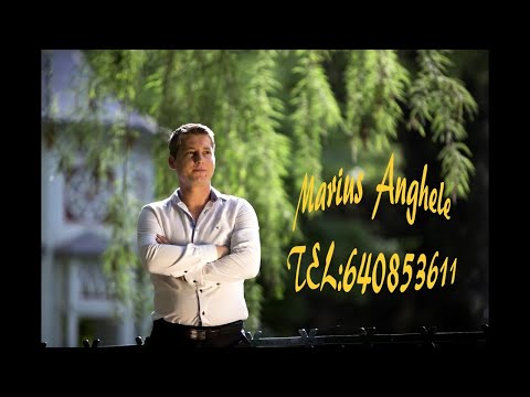MARIUS ANGHELE  2017 - STAI OMULE LANGA MINE