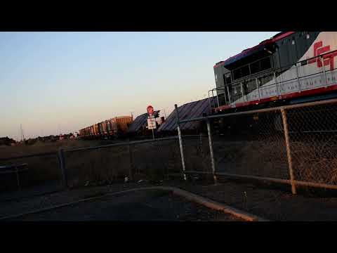 SCT Steel Shunt (1160S)