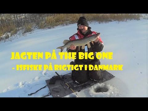 Isfiskeri efter gedder