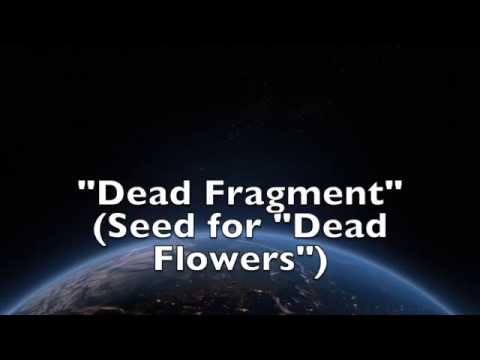 Dead Fragment - Kevin Sherwood