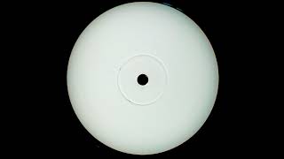 DT8 FEAT ROXANNE WILDE - DESTINATION (TRINITY X REMIX)