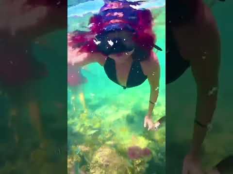 Mergulho com peixinhos na Praia Ponto  Grossa, Icapuí Ceara