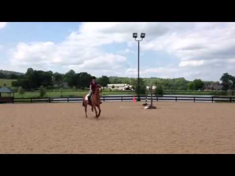 Sarah and Sebastian lesson 6/20/13