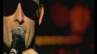 The Divine Comedy - Generation Sex