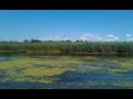 Danube S Delta July 2012 1