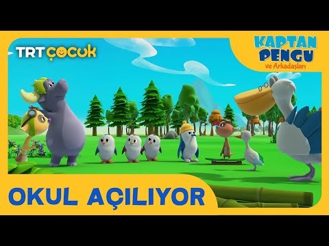Kaptan Pengu ve Arkadaşları | Okul Açılıyor