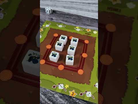 Mutton Bustin Overview
