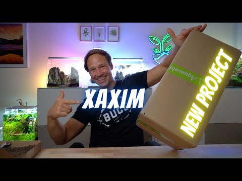 XAXIM statt Terra Base?! NEO GLAS AIR Projekt 2.0 - Unboxing & Bepflanzung - Emotion in Aqua