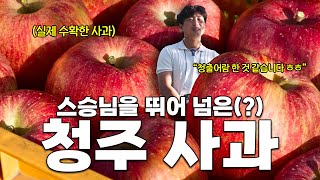 최상품 사과를 재배할 수 있었던 비료, 방제 방법 솔직 대공개!!
