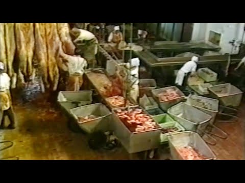 „Alytaus maisto“ bankroto byla (1995)