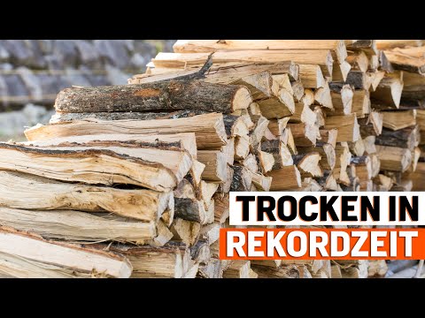 Brennholz schnell trocknen – mit diesen Tipps klappt es in Rekordzeit