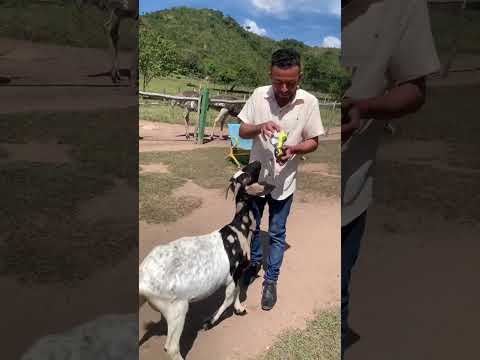 Aventura en pueblo bello, visitando pueblo bello hotel campestre villa Tati #viralvideo #pueblo