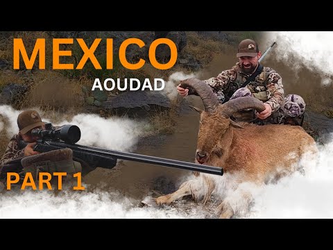 Aoudad and Desert Adventure — Mexico