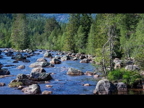 Reisebericht Camping Mjonoy (Norwegen) Juni 2018