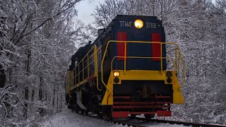 Тепловоз ТГМ4Б-37181 с грузовыми вагонами на подъездном пути от станции Гривно МЖД. 04/11/2024.