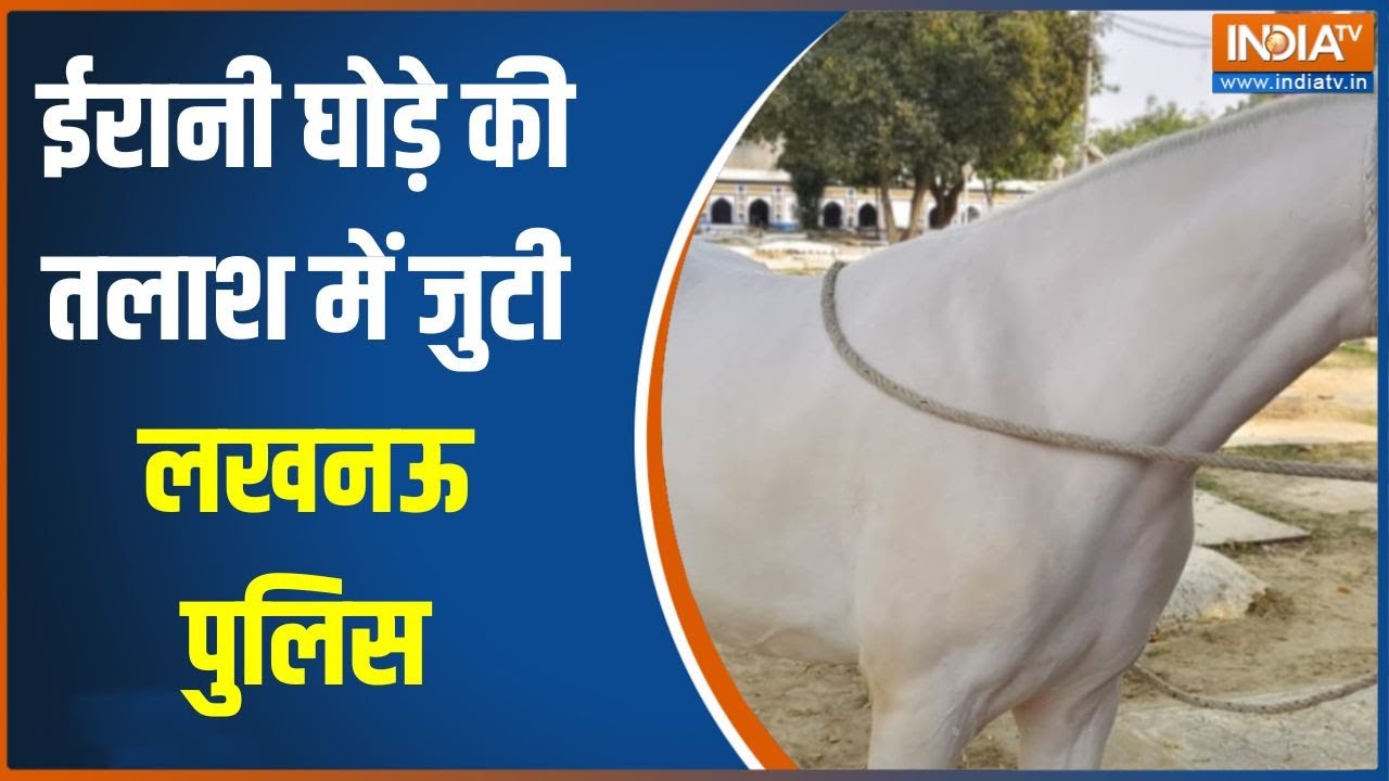 UP News : ईरानी घोड़े की तलाश में जुटी लखनऊ पुलिस, देखिए क्य